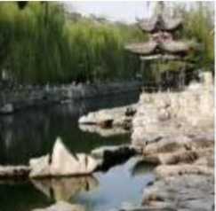 齐鲁晚报网-山东新闻门户 传播品质资讯